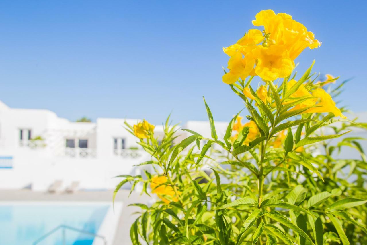 Flower Beach Suite 6 Плайя-Онда Екстер'єр фото